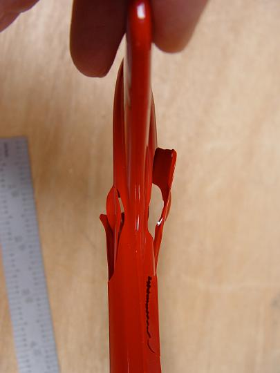 DSC01905.jpg