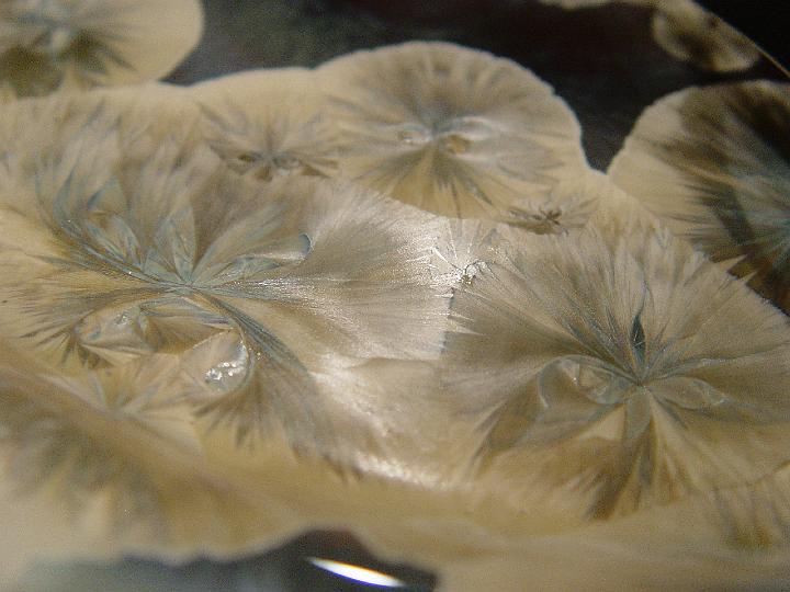 DSC01885.jpg
