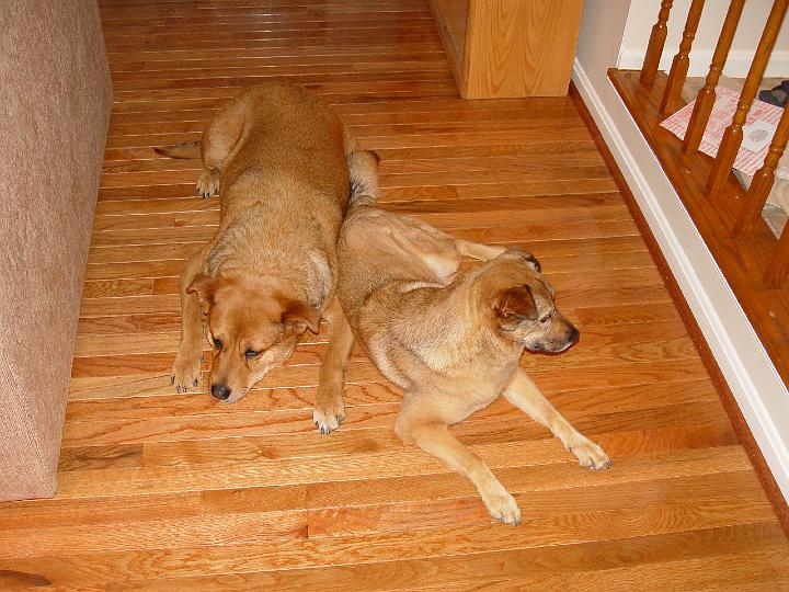 DSC00690.jpg