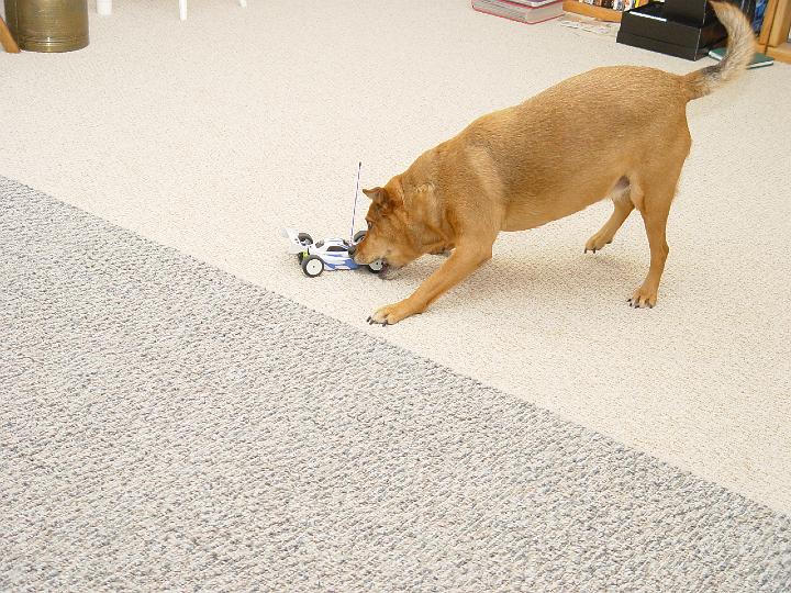 DSC02056.jpg