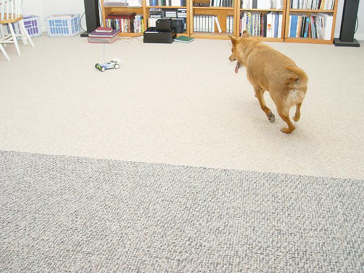 DSC02064.jpg