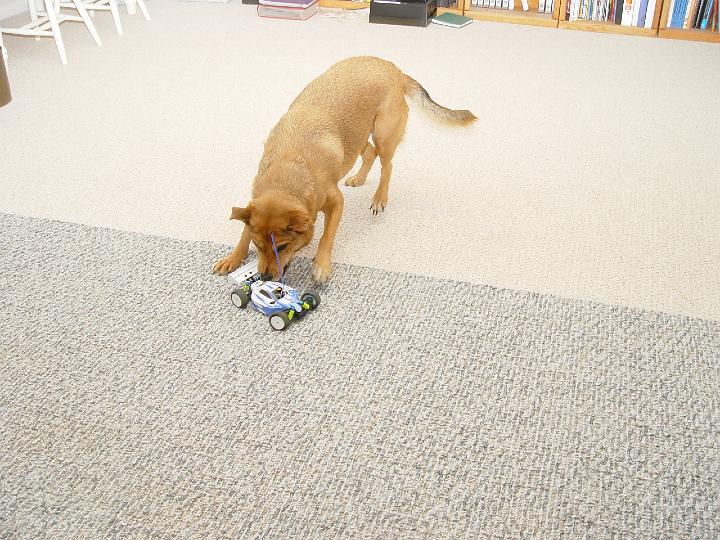 DSC02067.jpg