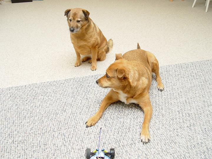 DSC02072.jpg